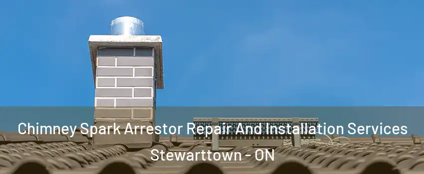  Chimney Spark Arrestor Repair And Installation Services Stewarttown - ON