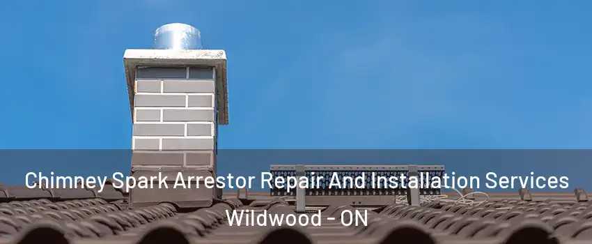  Chimney Spark Arrestor Repair And Installation Services Wildwood - ON