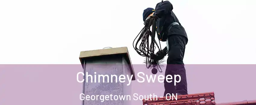  Chimney Sweep Georgetown South - ON