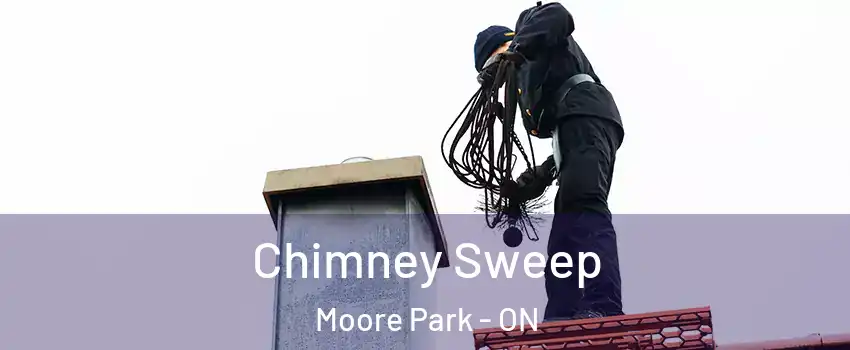Chimney Sweep Moore Park - ON