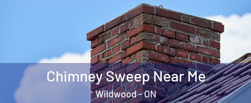  Chimney Sweep Near Me Wildwood - ON