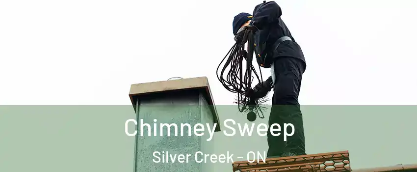 Chimney Sweep Silver Creek - ON
