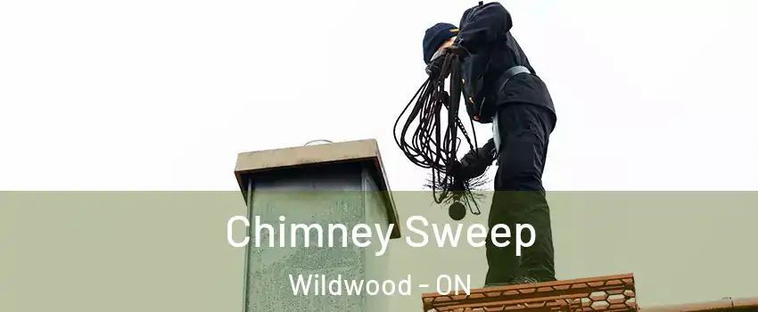  Chimney Sweep Wildwood - ON
