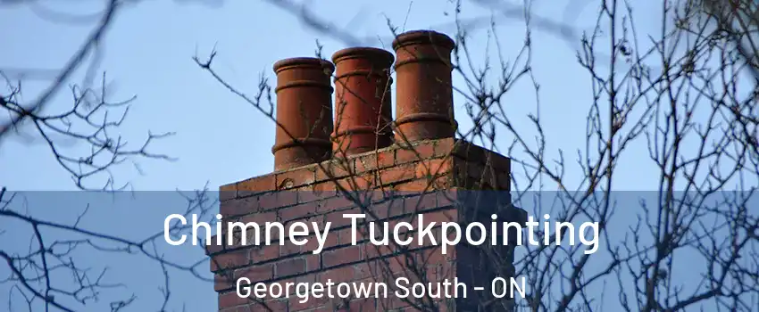 Chimney Tuckpointing Georgetown South - ON