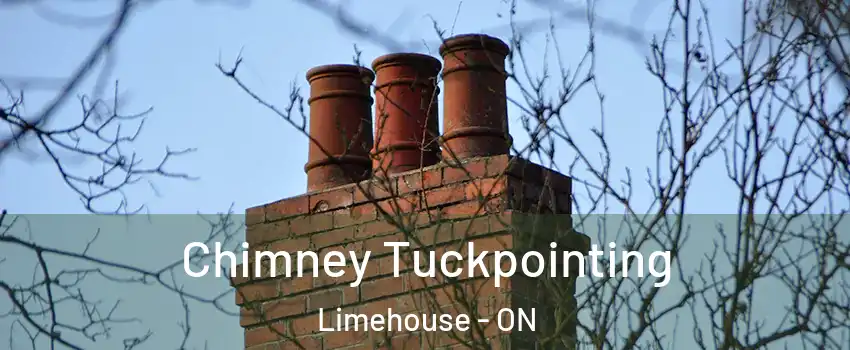 Chimney Tuckpointing Limehouse - ON