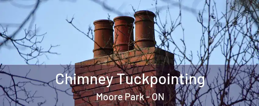 Chimney Tuckpointing Moore Park - ON