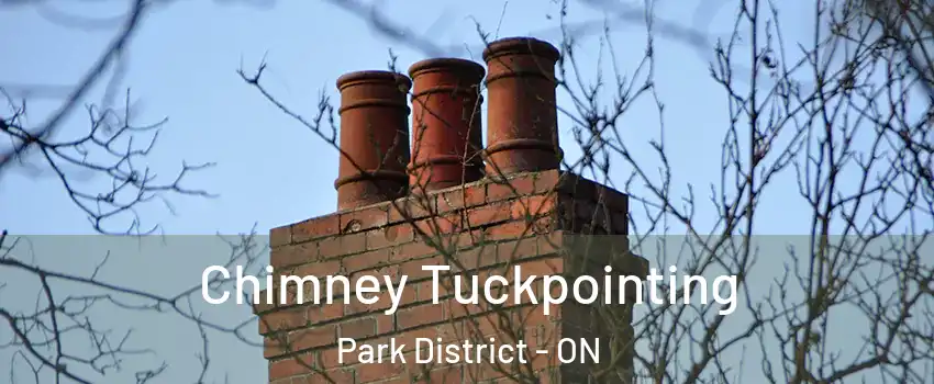 Chimney Tuckpointing Park District - ON