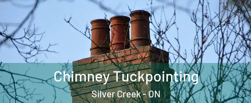 Chimney Tuckpointing Silver Creek - ON