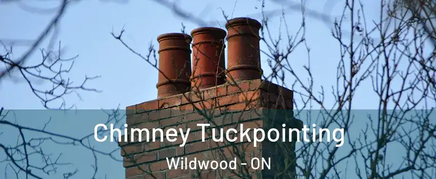  Chimney Tuckpointing Wildwood - ON