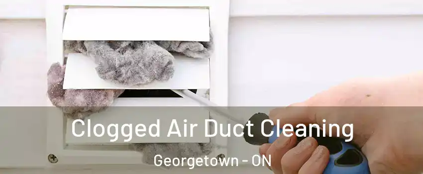  Clogged Air Duct Cleaning Georgetown - ON
