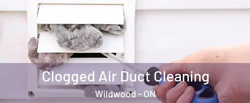  Clogged Air Duct Cleaning Wildwood - ON