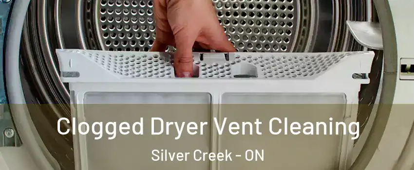 Clogged Dryer Vent Cleaning Silver Creek - ON