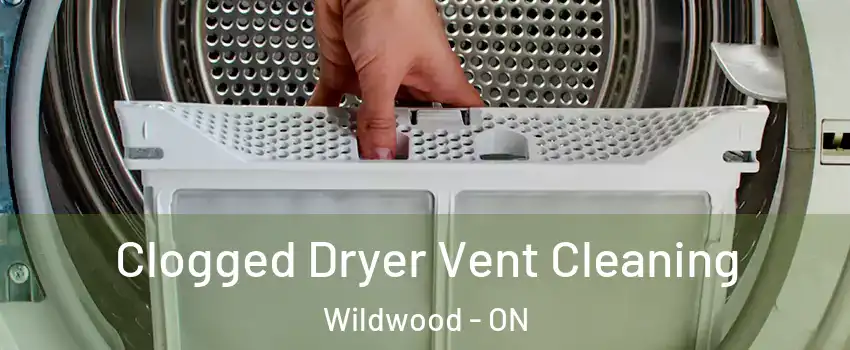  Clogged Dryer Vent Cleaning Wildwood - ON