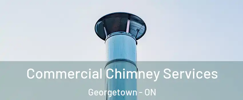  Commercial Chimney Services Georgetown - ON