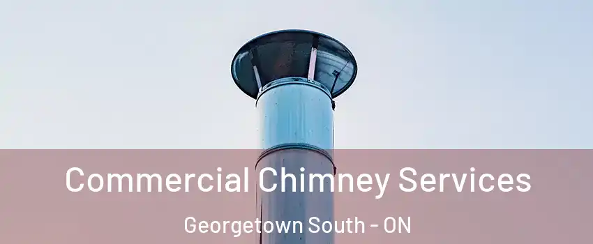  Commercial Chimney Services Georgetown South - ON