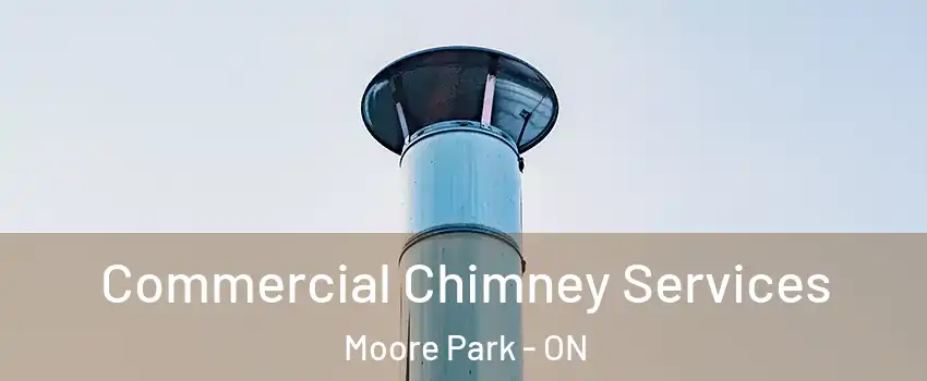  Commercial Chimney Services Moore Park - ON