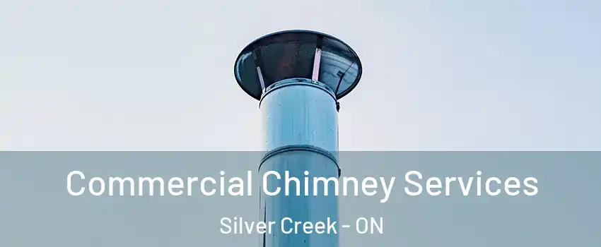 Commercial Chimney Services Silver Creek - ON