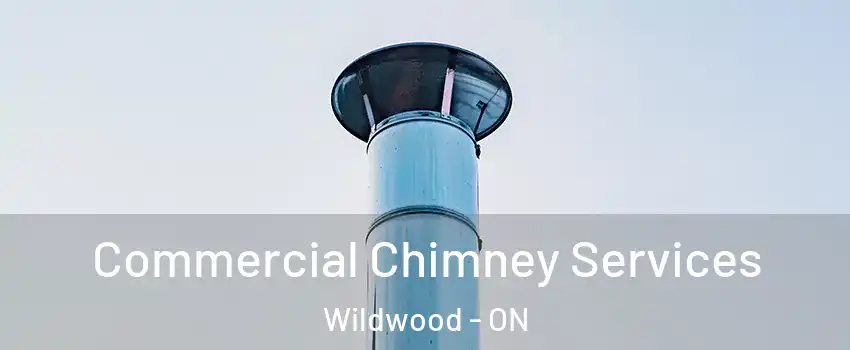 Commercial Chimney Services Wildwood - ON