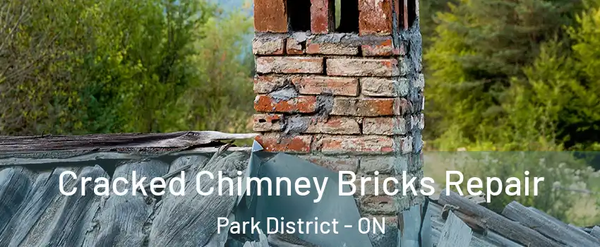 Cracked Chimney Bricks Repair Park District - ON