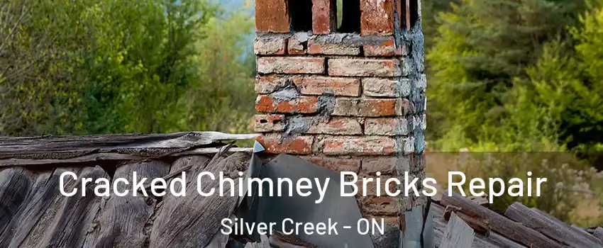 Cracked Chimney Bricks Repair Silver Creek - ON