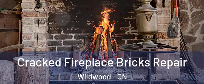 Cracked Fireplace Bricks Repair Wildwood - ON