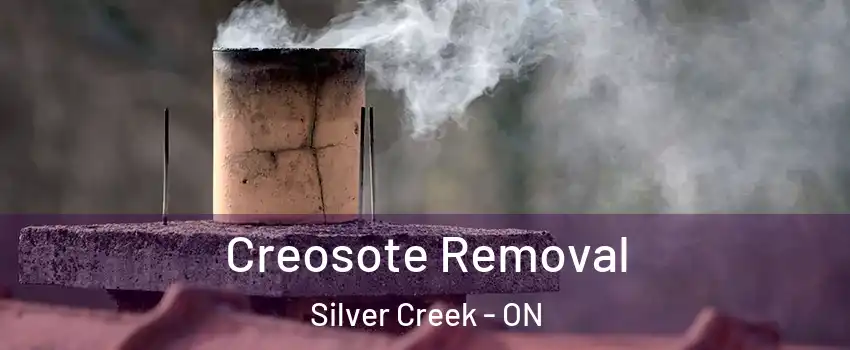 Creosote Removal Silver Creek - ON