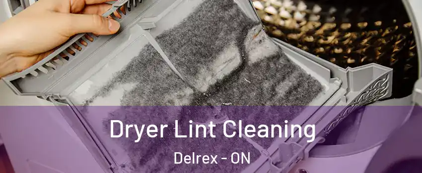 Dryer Lint Cleaning Delrex - ON