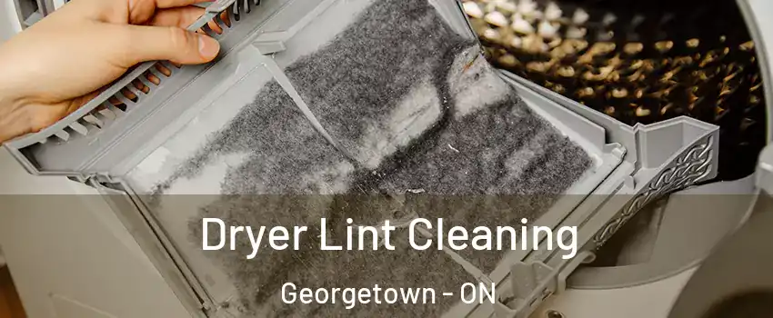 Dryer Lint Cleaning Georgetown - ON