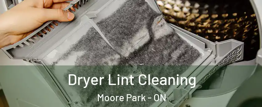 Dryer Lint Cleaning Moore Park - ON