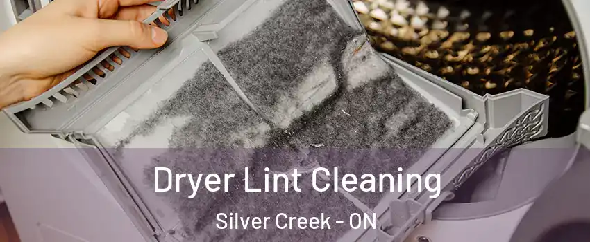 Dryer Lint Cleaning Silver Creek - ON