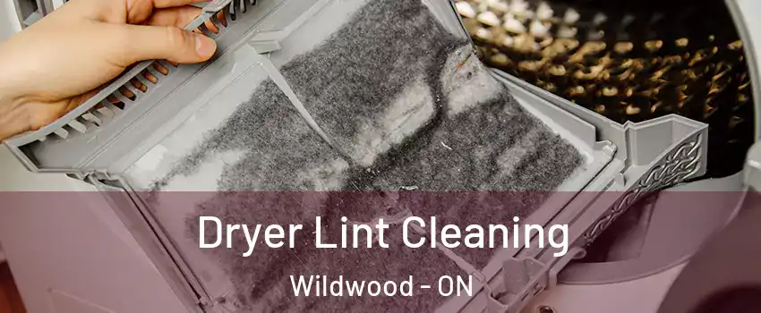 Dryer Lint Cleaning Wildwood - ON