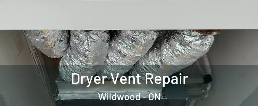 Dryer Vent Repair Wildwood - ON