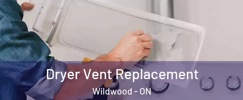 Dryer Vent Replacement Wildwood - ON