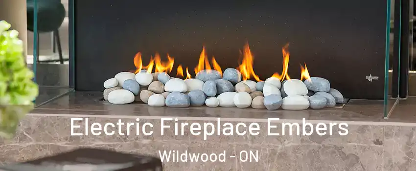 Electric Fireplace Embers Wildwood - ON