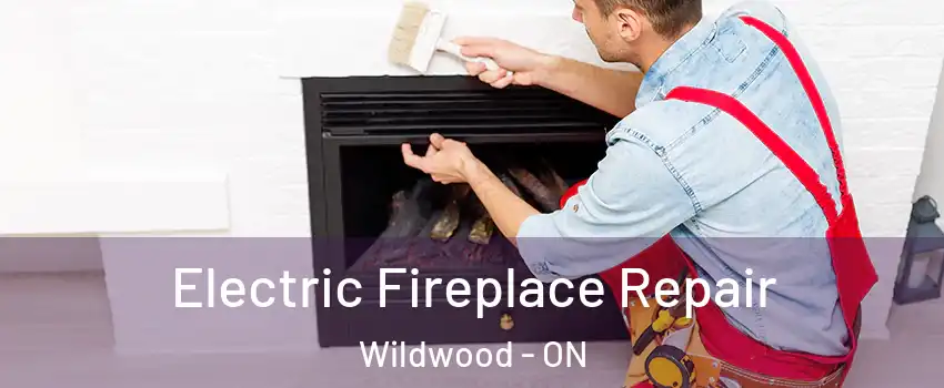 Electric Fireplace Repair Wildwood - ON