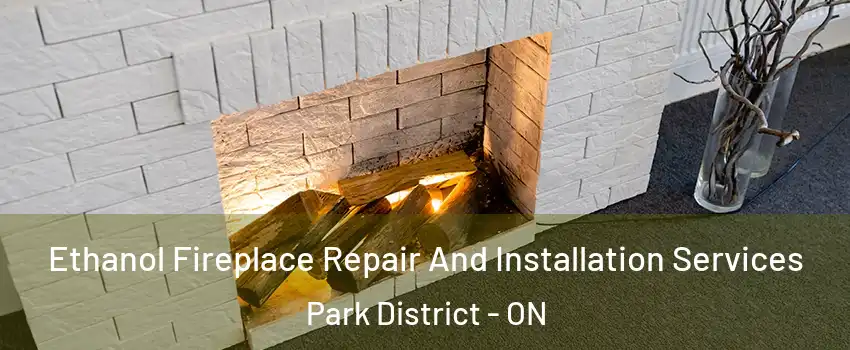 Ethanol Fireplace Repair And Installation Services Park District - ON