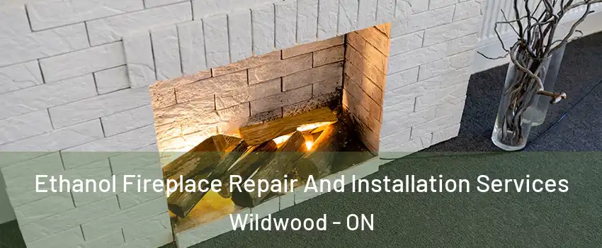  Ethanol Fireplace Repair And Installation Services Wildwood - ON