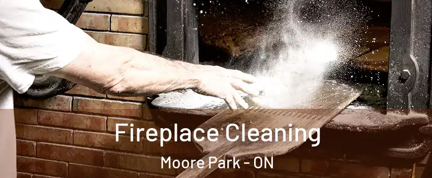  Fireplace Cleaning Moore Park - ON