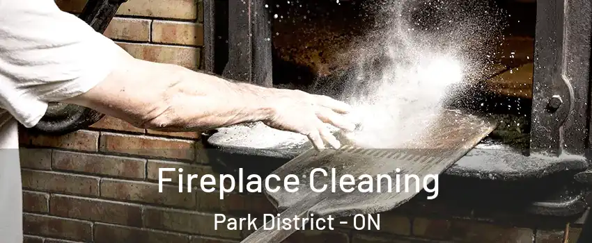 Fireplace Cleaning Park District - ON