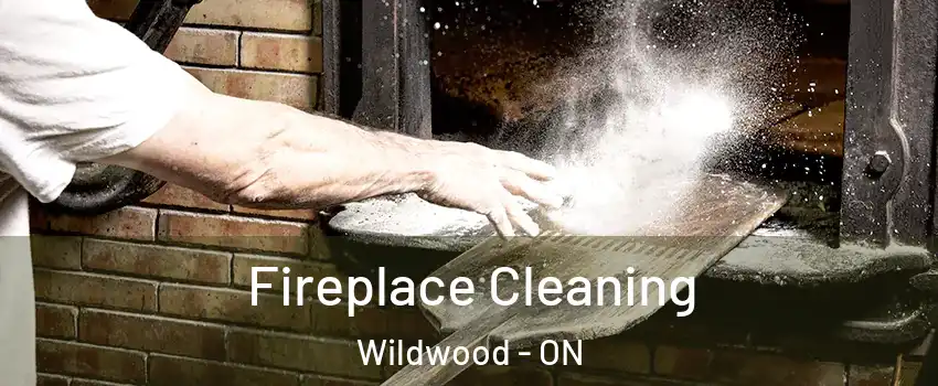  Fireplace Cleaning Wildwood - ON