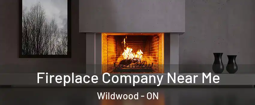  Fireplace Company Near Me Wildwood - ON