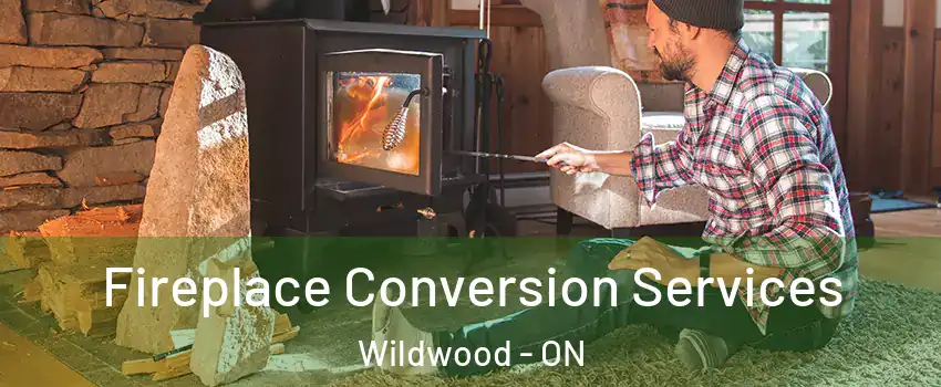 Fireplace Conversion Services Wildwood - ON