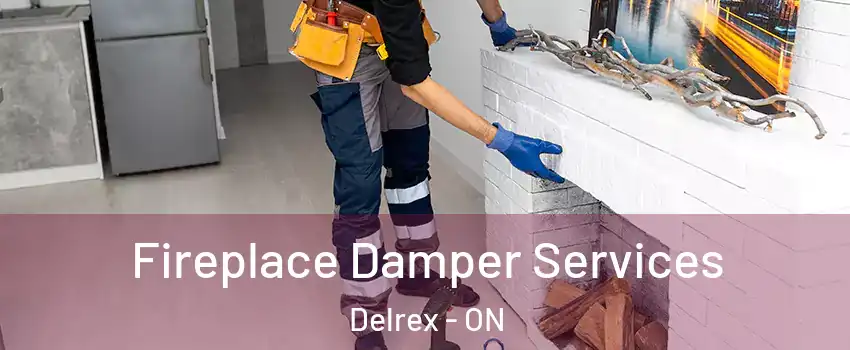 Fireplace Damper Services Delrex - ON