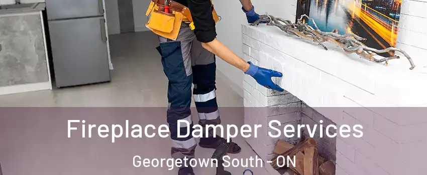  Fireplace Damper Services Georgetown South - ON