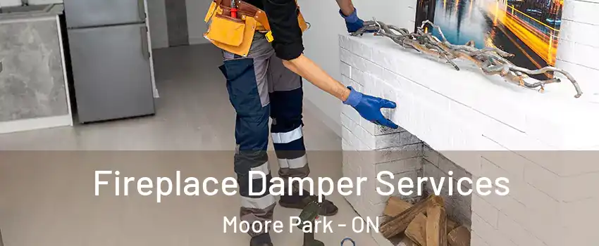  Fireplace Damper Services Moore Park - ON