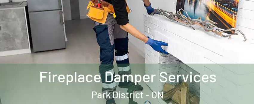 Fireplace Damper Services Park District - ON