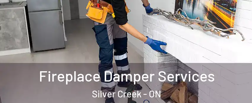  Fireplace Damper Services Silver Creek - ON
