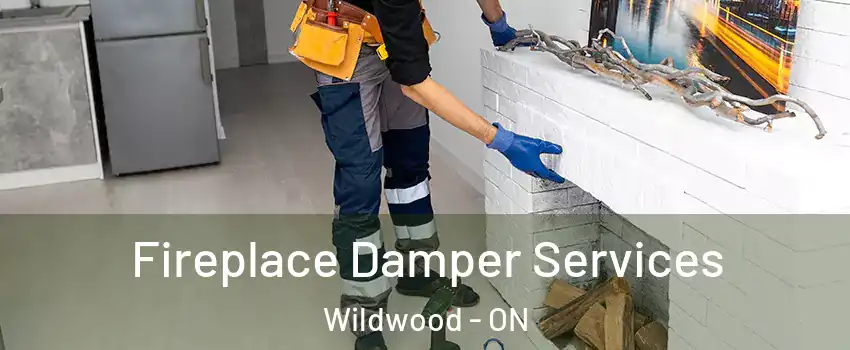 Fireplace Damper Services Wildwood - ON