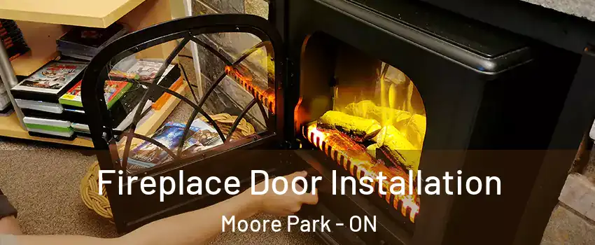 Fireplace Door Installation Moore Park - ON
