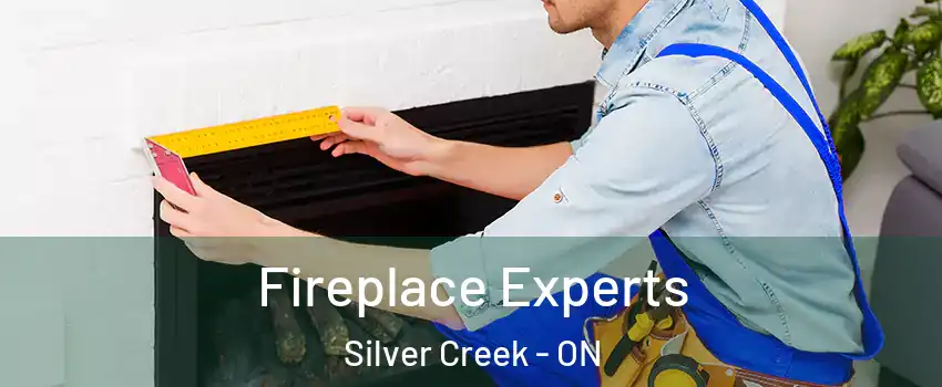  Fireplace Experts Silver Creek - ON